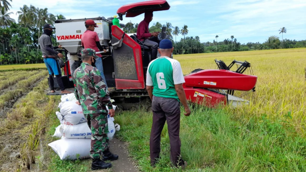 DOKUMENTASI PROSES PANEN PADI SERENTAK GAMPONG KAMPUNG PAYA